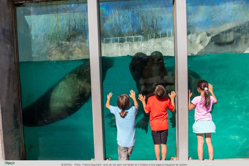 Aquarium du Quebec Entry Ticket Gallery Image 4