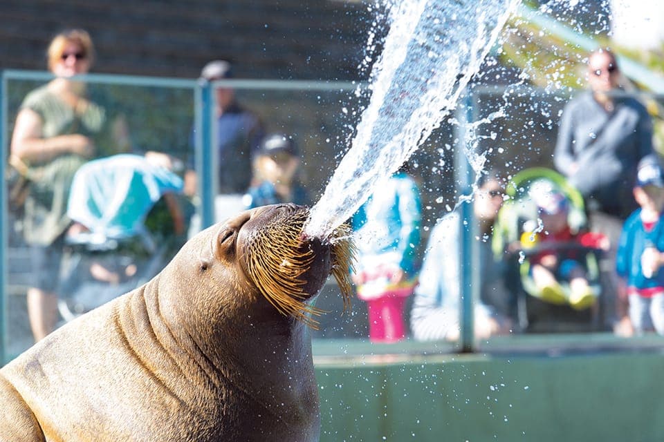 Aquarium du Quebec Entry Ticket Gallery Image 2
