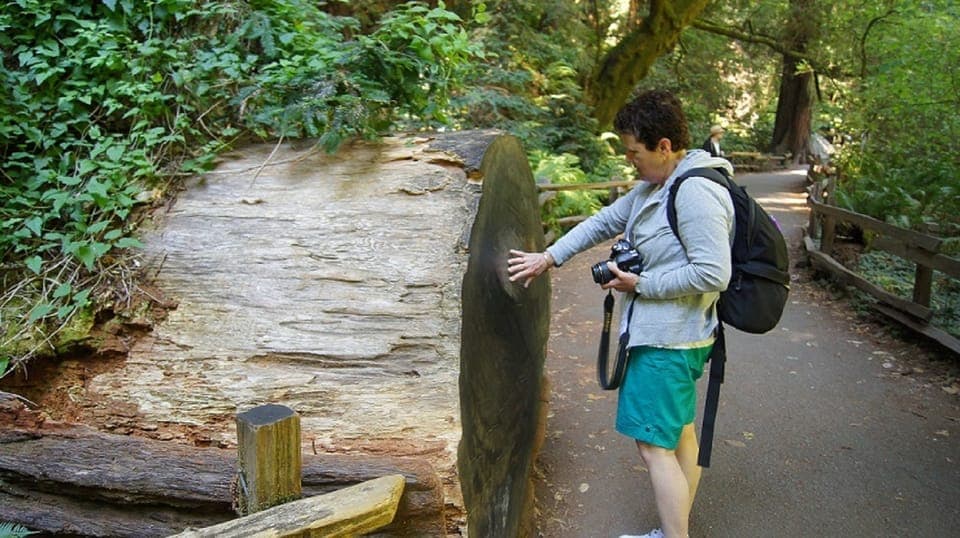 Muir Woods Tour & Golden Gate Bay Cruise Gallery Image 2