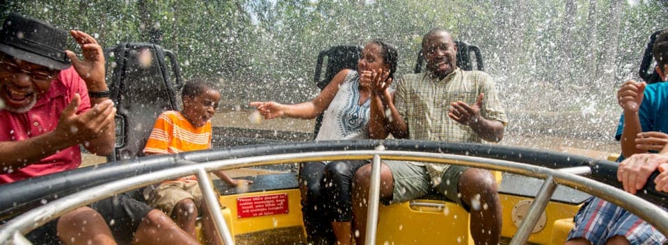 Busch Gardens Tampa Bay Ticket & Multi-Park Options Gallery Image 1