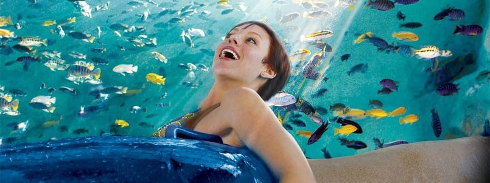 Orlando: Aquatica Water Park Admission Ticket Gallery Image 4