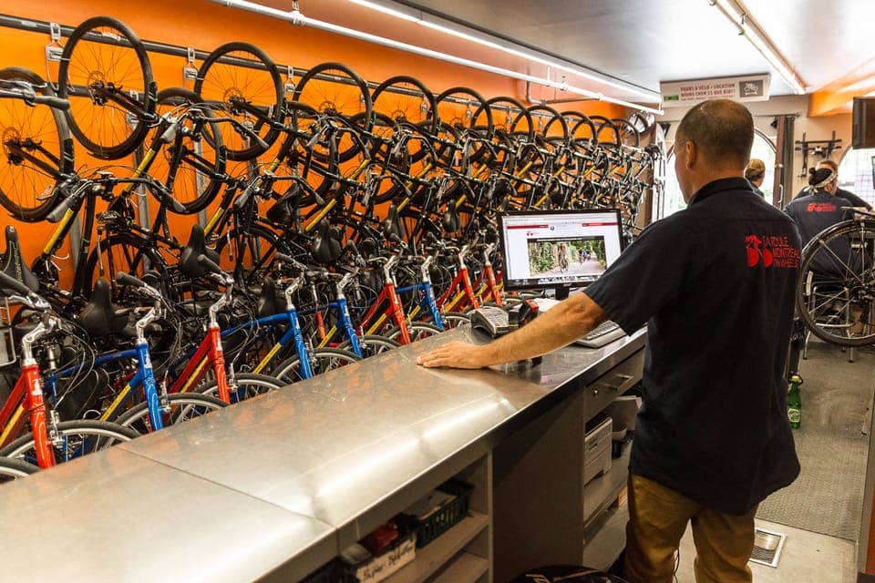 All-Day Bicycle Rental Gallery Image 3