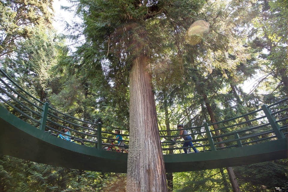 Stanley Park Bicycle Tour Gallery Image 4