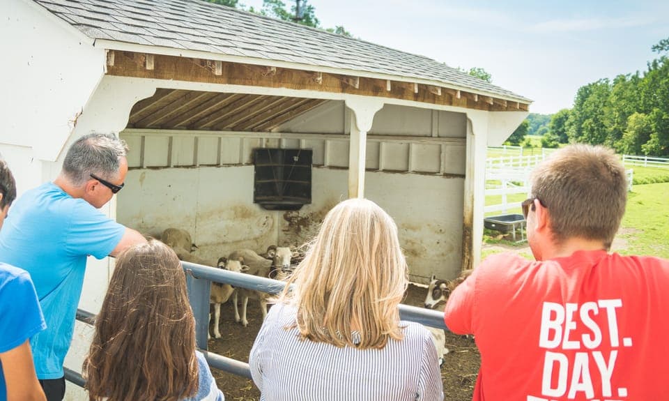 Private Lancaster County Amish Tour from Philadelphia Gallery Image 3