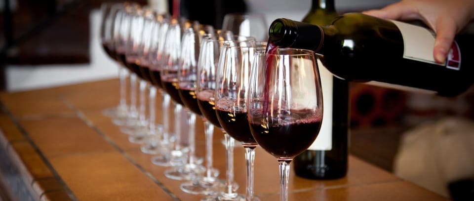 North Georgia Wine Country Tour Gallery Image 2