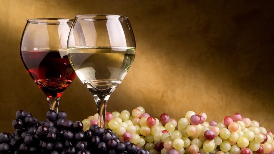North Georgia Wine Country Tour Gallery Image 4
