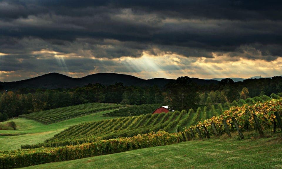 North Georgia Wine Country Tour Gallery Image 1