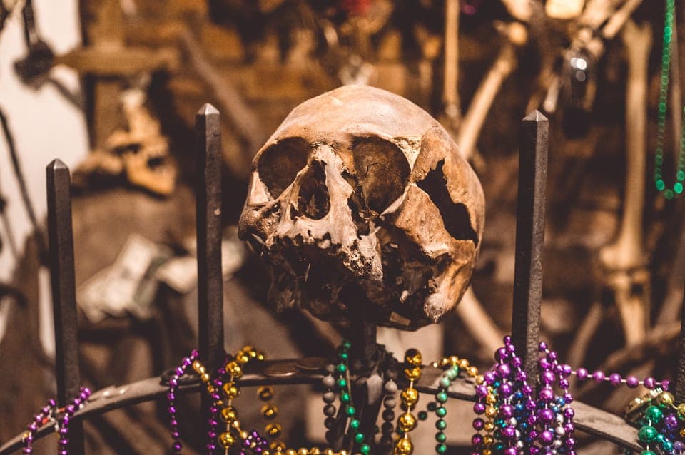 Vampires, Voodoo, and Ghosts Tour Gallery Image 2