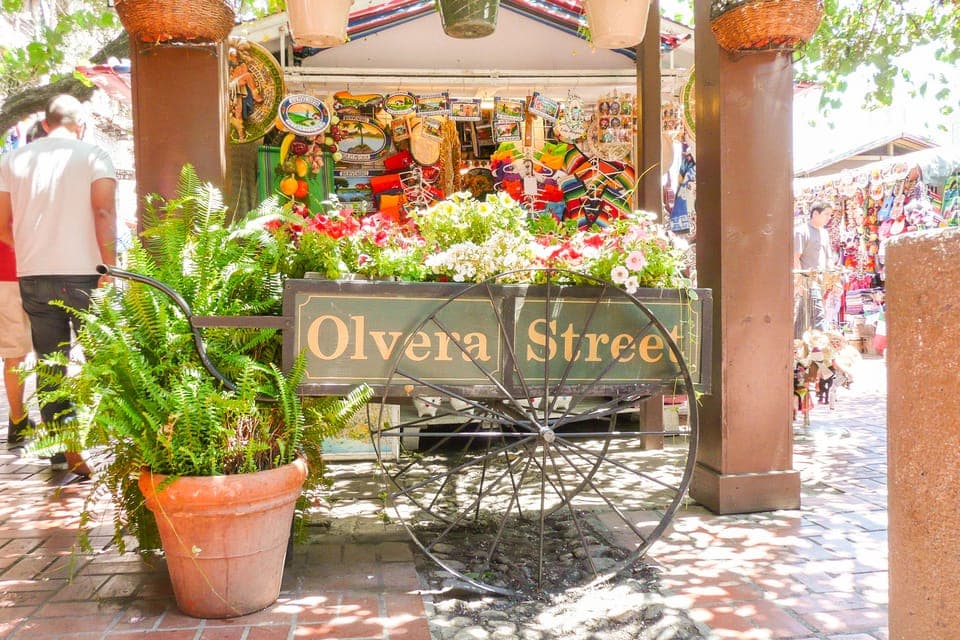 Small Group Sightseeing Tour Gallery Image 4