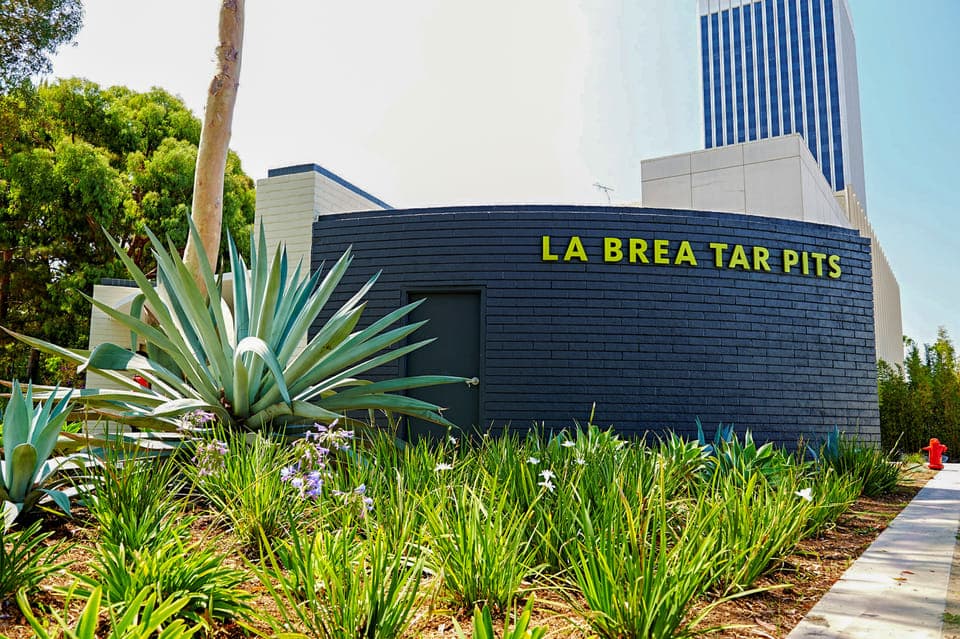 La Brea Tar Pits Museum Ticket Gallery Image 1
