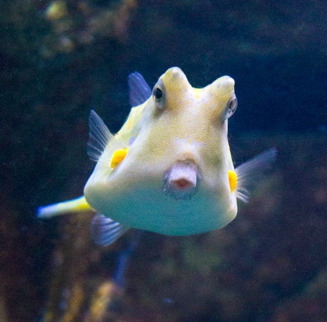 From Costa Brava: Barcelona Day Trip with Aquarium Visit Gallery Image 3