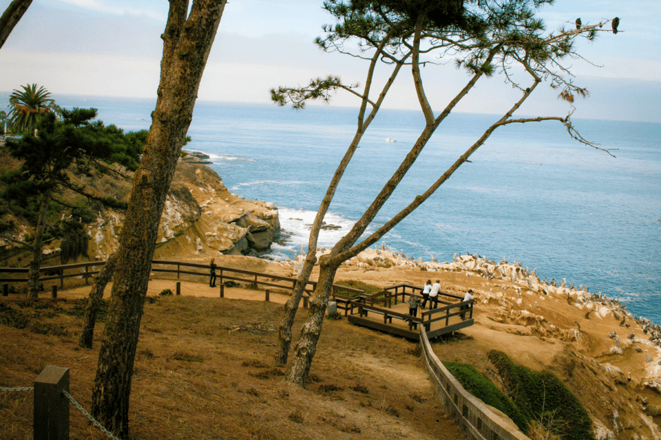 La Jolla Free fall Electric Bike Tour Gallery Image 3