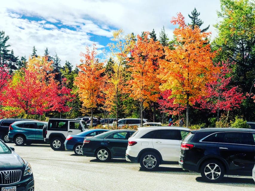 44. Fall Foliage Tour - Image 44