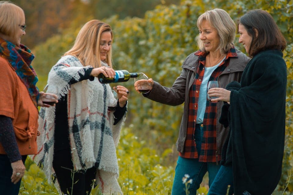Niagara, Canada: Half-Day Winery Tour with Tastings - Image 3