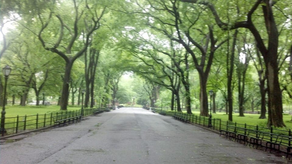 Central Park Walking Tour Gallery Image 2