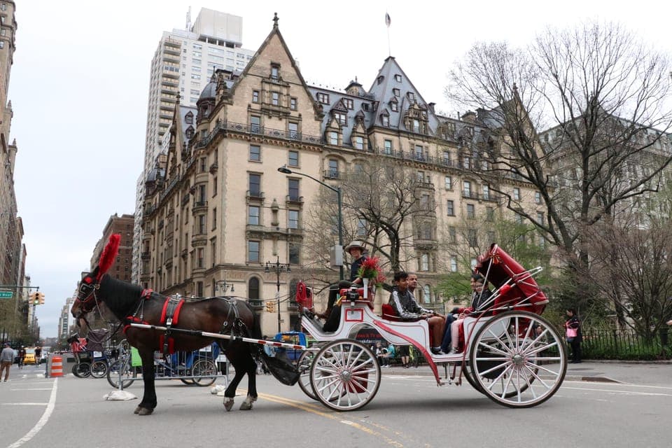 Horse Carriage Ride through Central Park Gallery Image 3