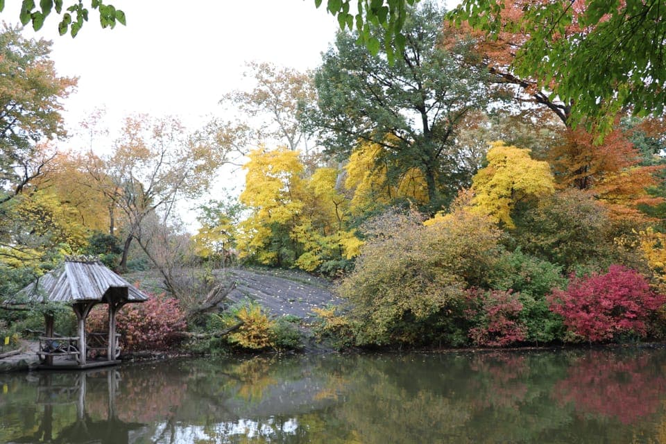 Horse Carriage Ride through Central Park - Image 6