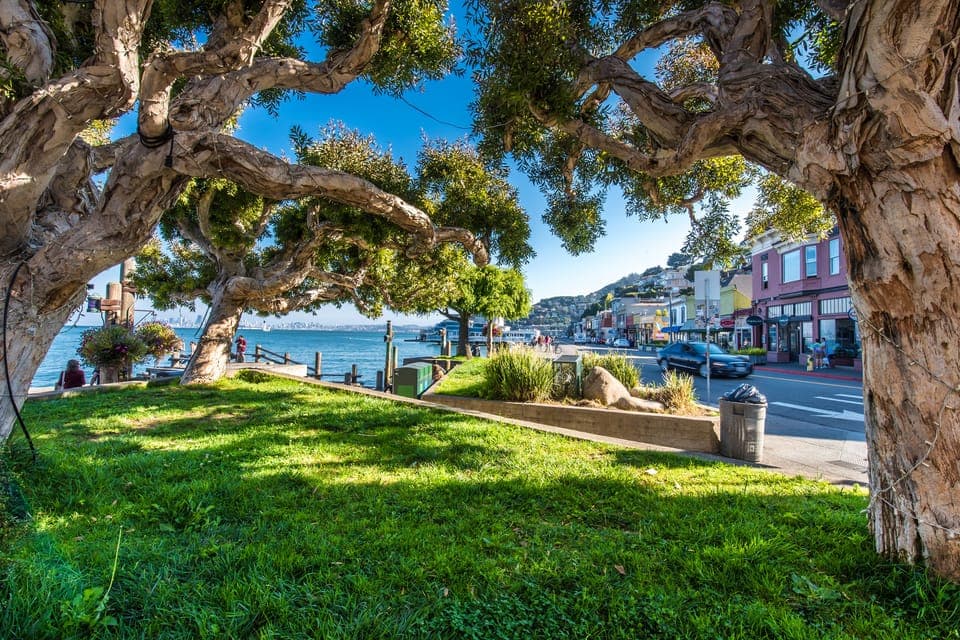 Muir Woods, San Francisco and Sausalito Tour Gallery Image 3