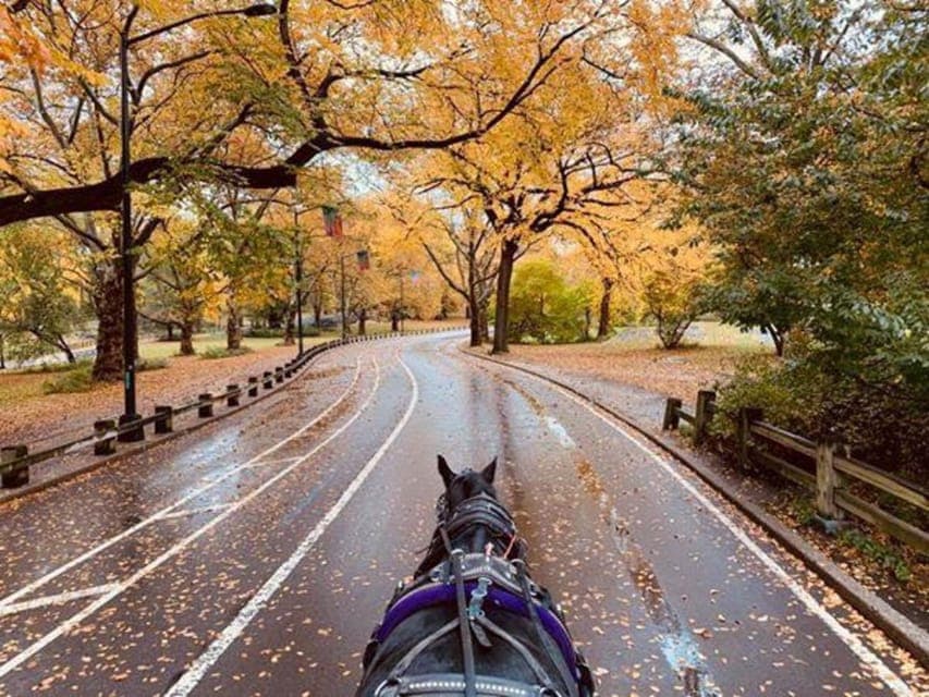 Central Park Horse-Drawn Carriage Ride (up to 4 Adults) Gallery Image 3