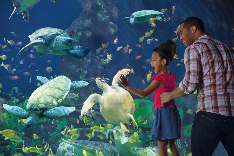 6. San Diego Pass Plus: 50+ Attractions - Includes LEGOLAND® - Image 6
