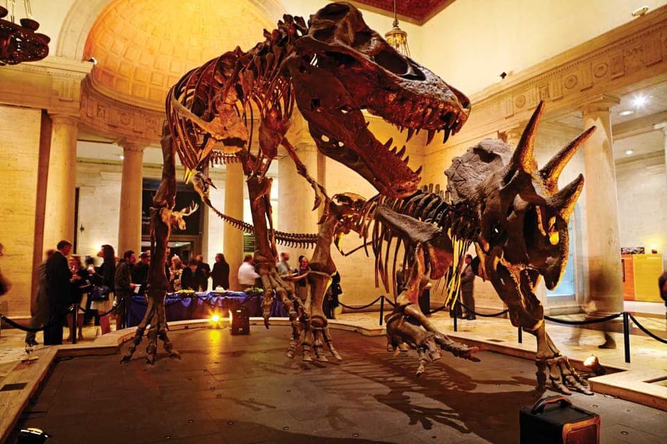 37. Natural History Museum of LA Entry Ticket - Image 37