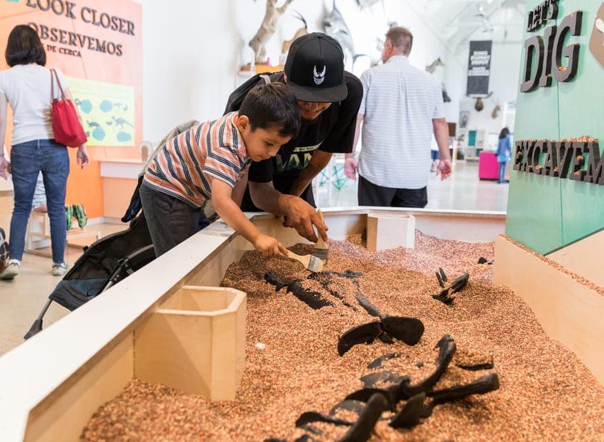Natural History Museum of LA Entry Ticket Gallery Image 3