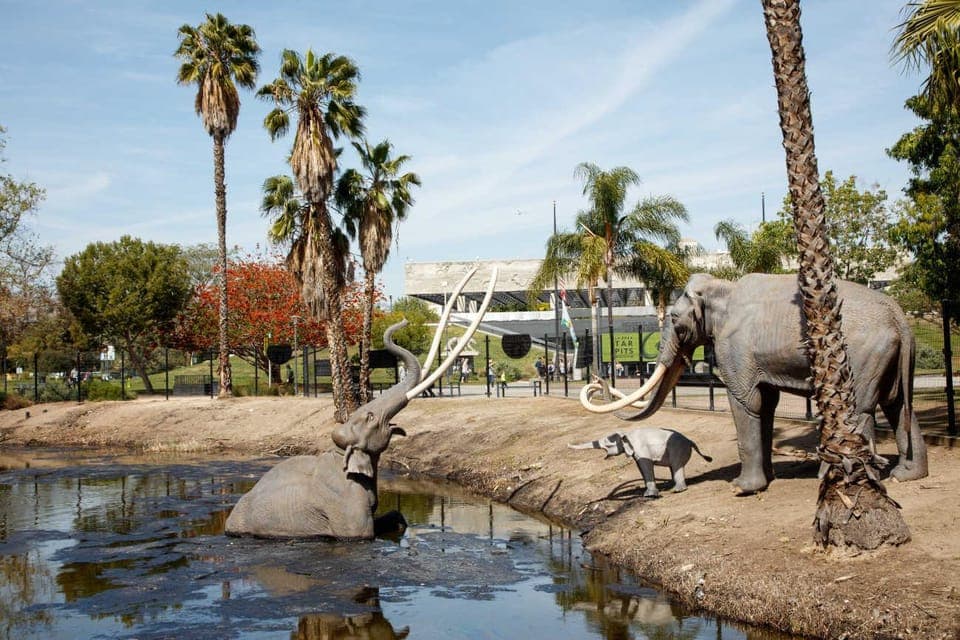 La Brea Tar Pits Museum Ticket Gallery Image 2