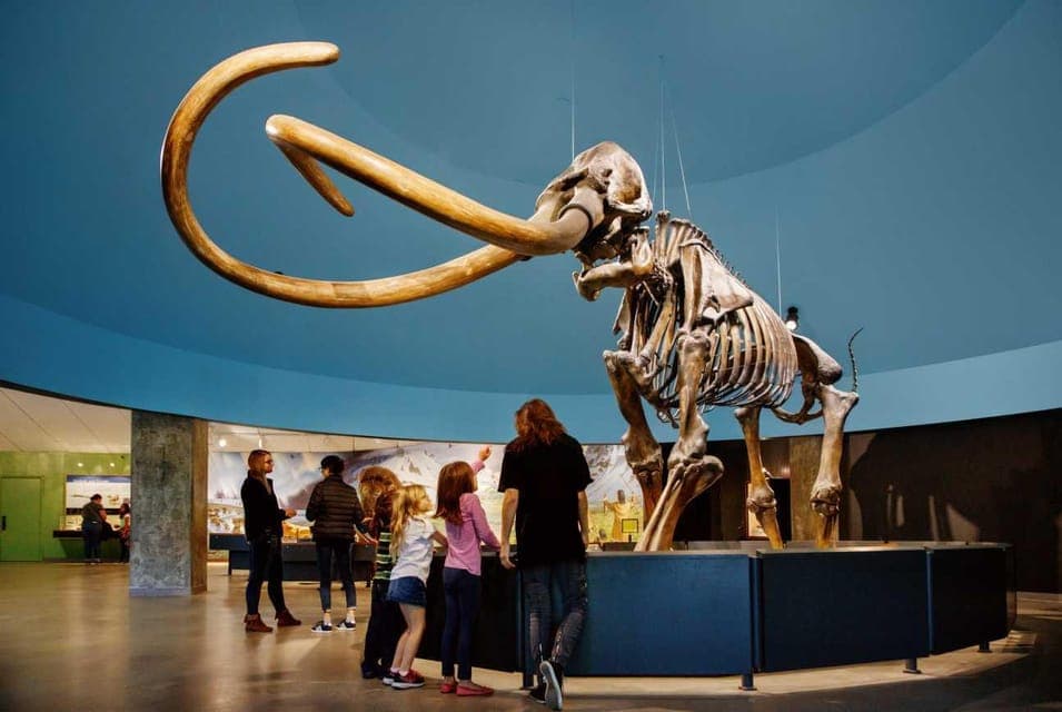 La Brea Tar Pits Museum Ticket Gallery Image 3