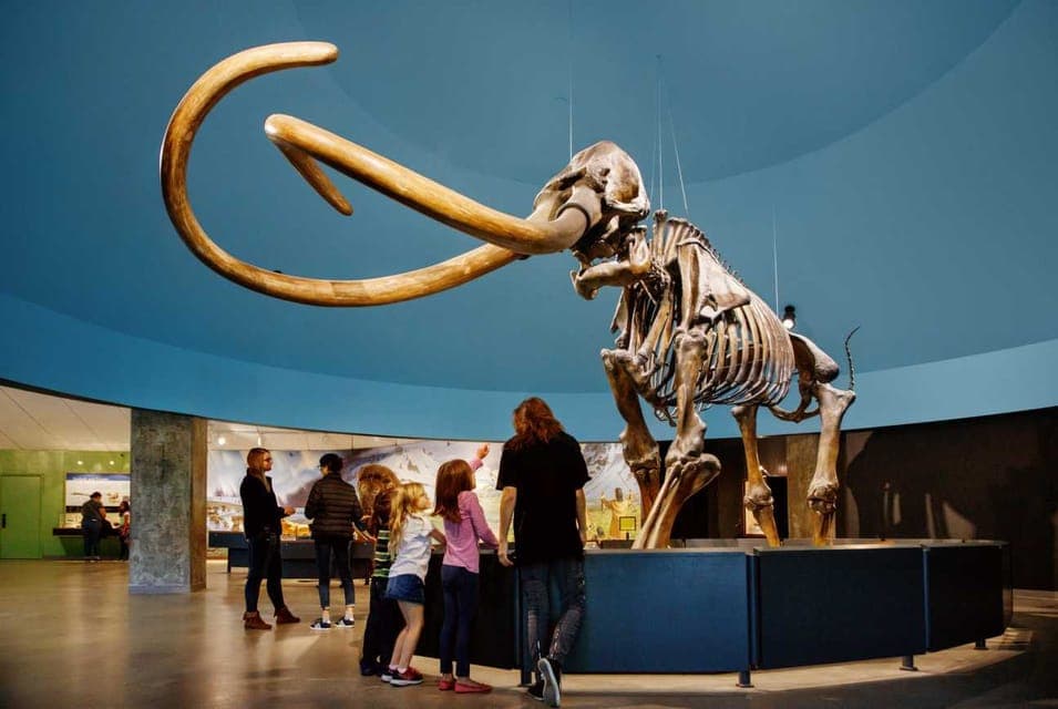 La Brea Tar Pits Museum Ticket Gallery Image 3