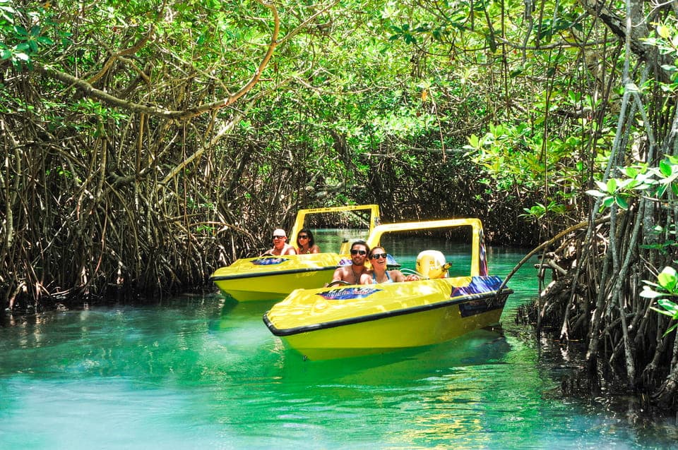 41. Cancun: Speedboat Mangrove Jungle & Snorkel Tour - Image 41