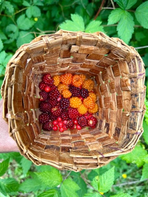 Capilano River Hatchery Love the Land Tour Gallery Image 4