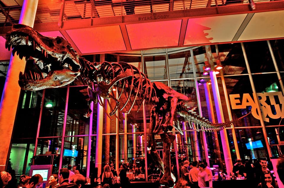 8. California Academy of Sciences Thursday NightLife Admission - Image 8