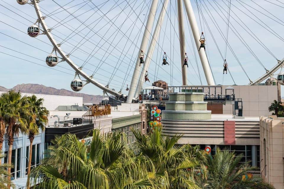 FLY LINQ Zipline Ticket Gallery Image 4