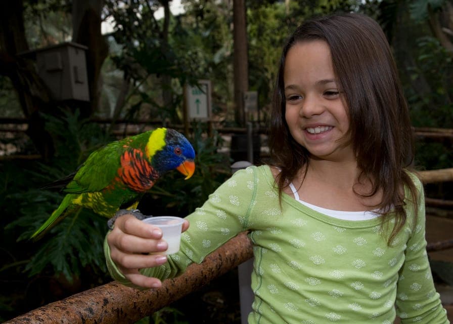 San Diego Zoo and Safari Park 2-Day Entry Ticket Gallery Image 4