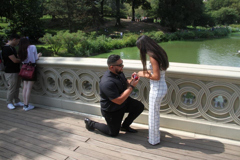 Romantic/Proposal Central Park Carriage Tour Up to 4 Adults Gallery Image 3