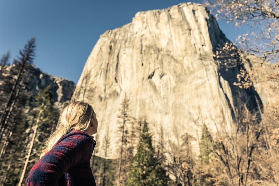 15. 3-Day Yosemite Tour Without Hotel - Image 15