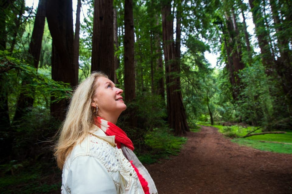 Muir Woods and Sausalito Tour with Admission Gallery Image 3