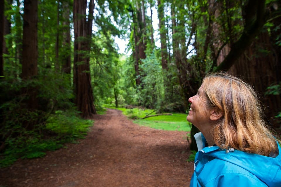 Muir Woods and Sausalito Tour with Admission - Image 7
