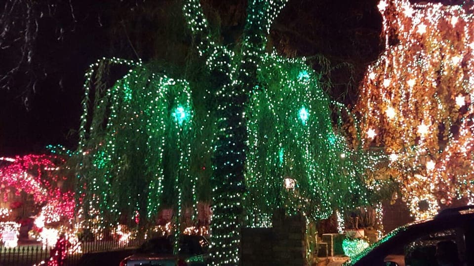 Dyker Heights Christmas Lights Tour Gallery Image 2
