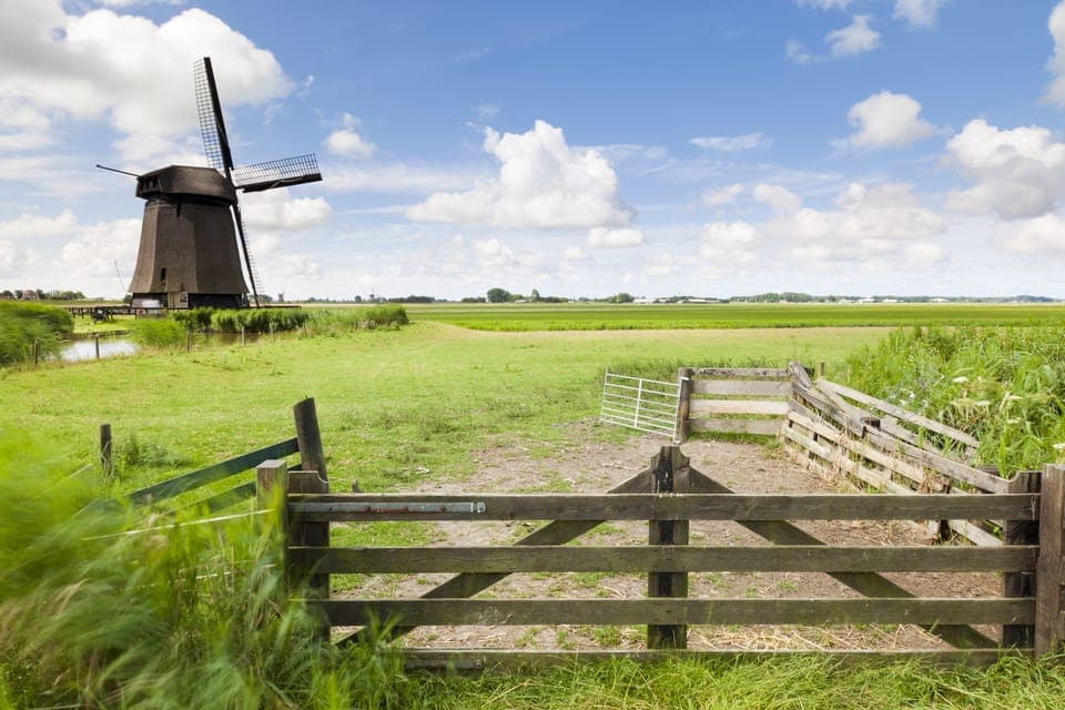Lisse: Drive-it-Yourself Dutch Countryside GPS Audio Tour Gallery Image 4