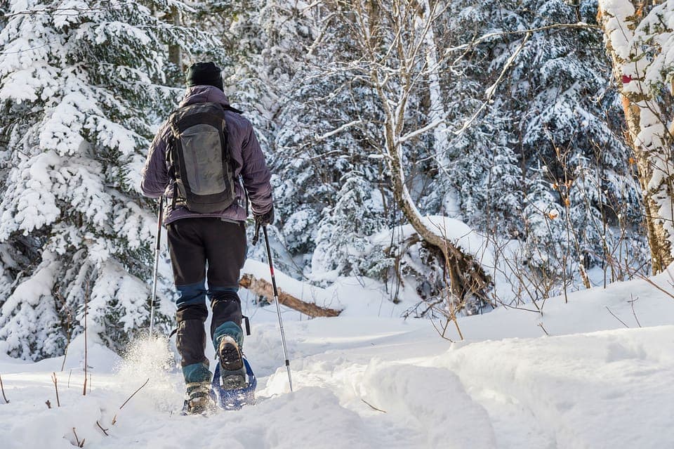 Jacques-Cartier National Park Snowshoeing Tour Gallery Image 2
