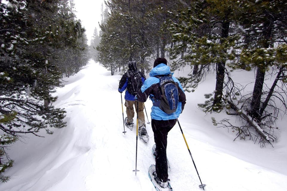 Jacques-Cartier National Park Snowshoeing Tour Gallery Image 4