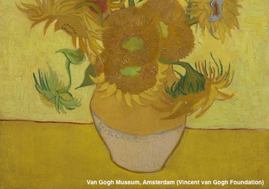 Van Gogh Museum Guided Tour with Entry Gallery Image 4