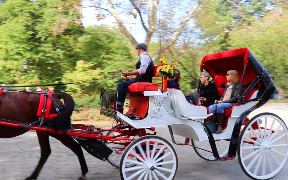 Guided Standard Central Park Carriage Ride (4 Adults) - Image 1
