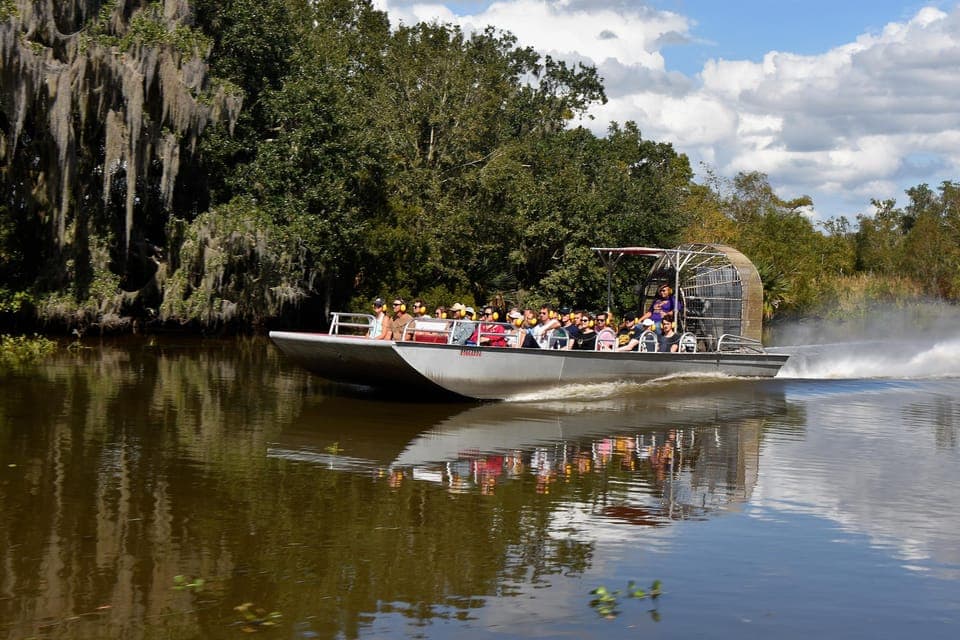 From Lafitte: Swamp Tours South of New Orleans by Airboat Gallery Image 3