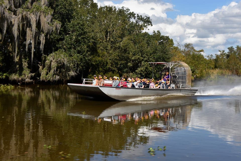 From Lafitte: Swamp Tours South of New Orleans by Airboat Gallery Image 3