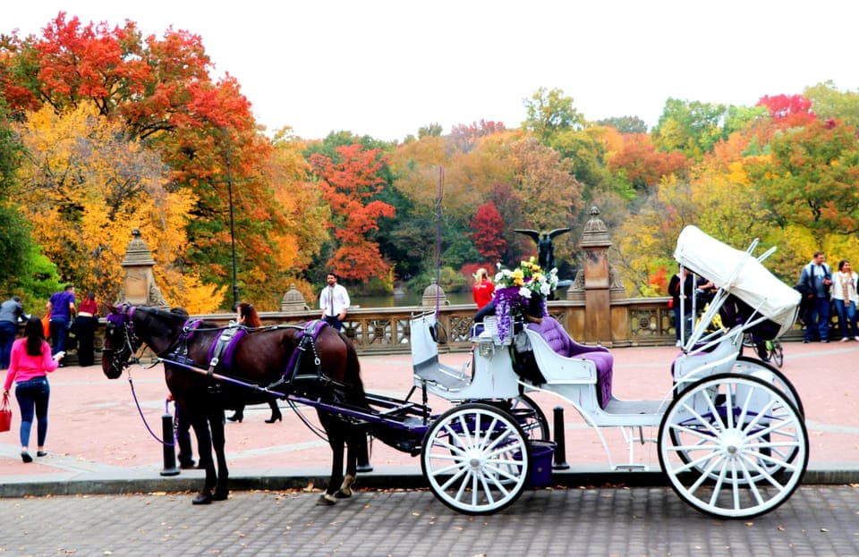 Central Park Horse-Drawn Carriage Ride (up to 4 Adults) Gallery Image 1
