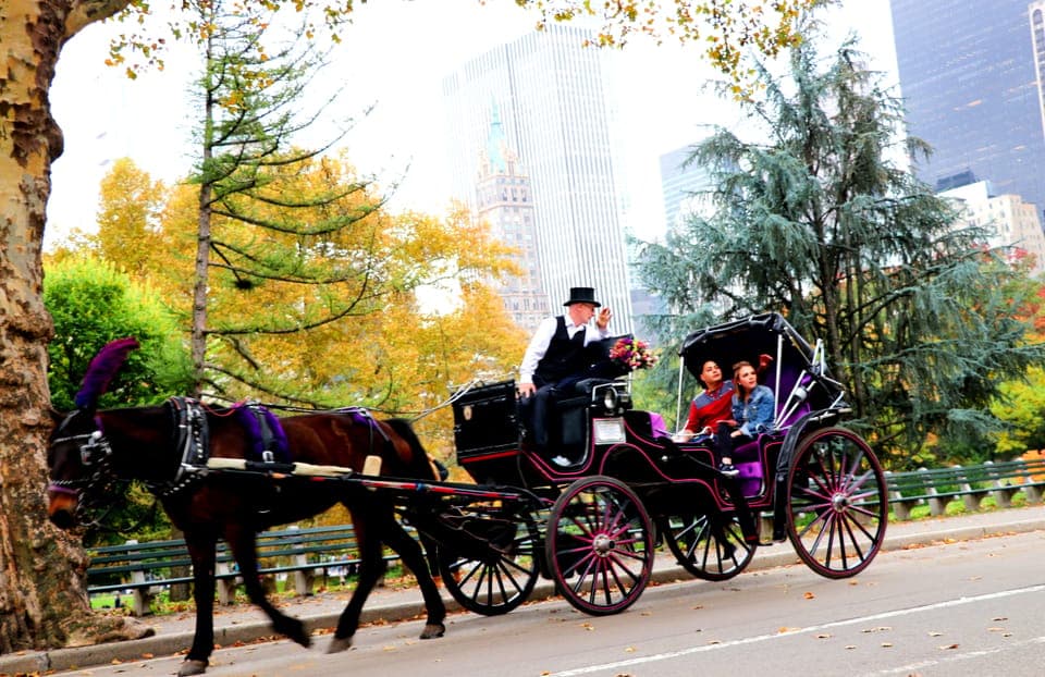 Guided Standard Central Park Carriage Ride (4 Adults) Gallery Image 3
