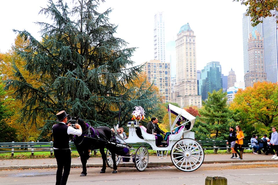Guided Standard Central Park Carriage Ride (4 Adults) Gallery Image 2