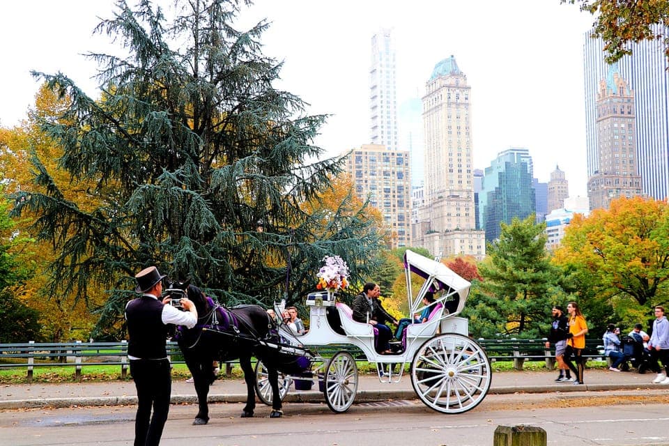Guided Standard Central Park Carriage Ride (4 Adults) Gallery Image 2